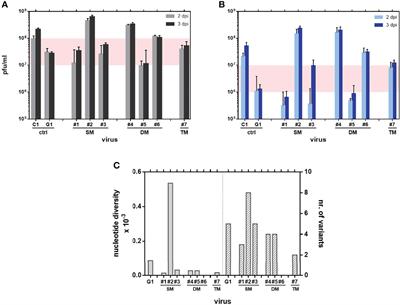 Identification of Single Amino Acid Changes in the Rift Valley Fever Virus Polymerase Core Domain Contributing to Virus Attenuation In Vivo